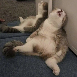 爆笑！遇上日本“靈魂翻譯”，身經(jīng)百戰(zhàn)的國(guó)乒高手都懵了